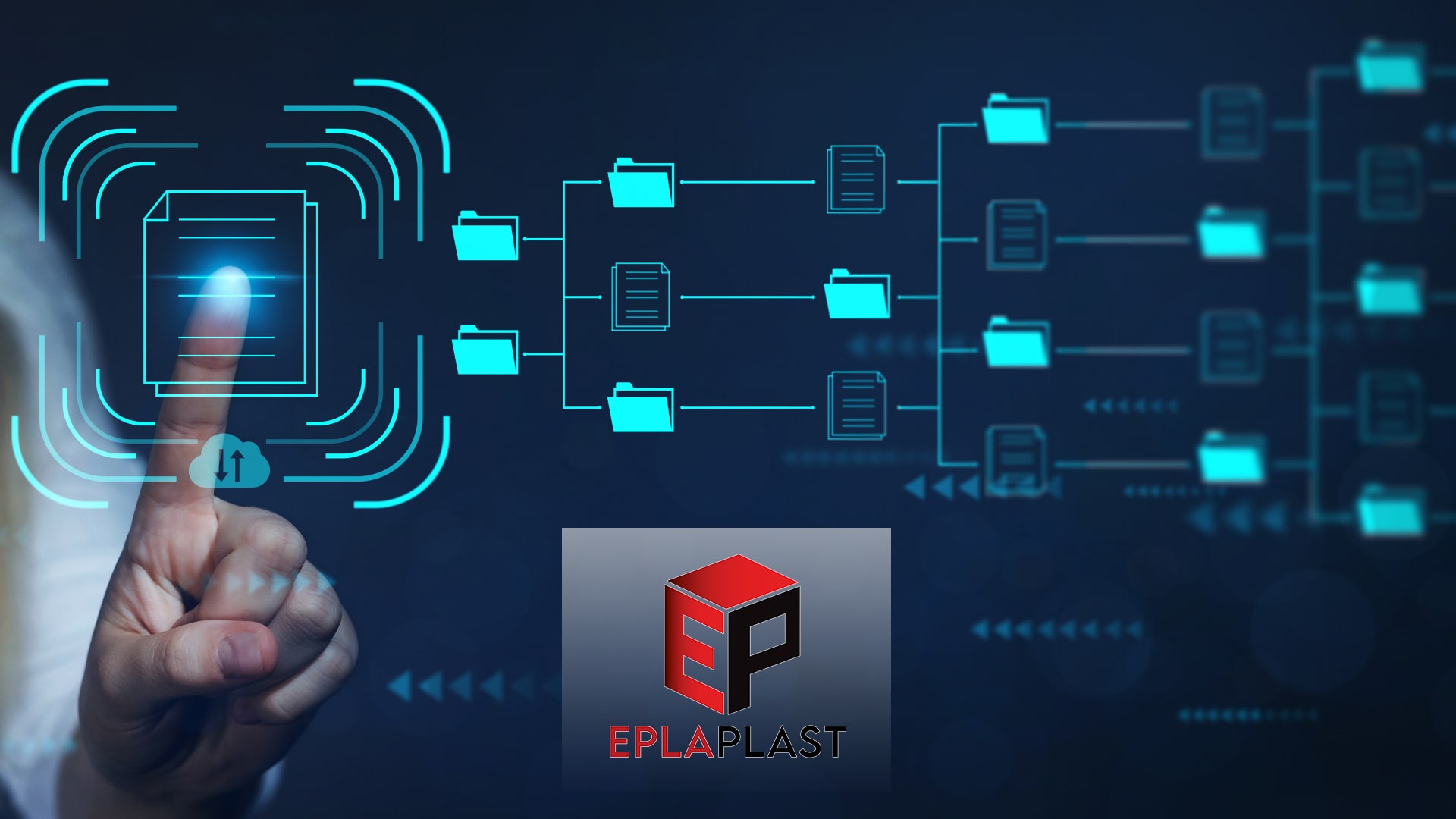 Datenmanagement und -analyse​